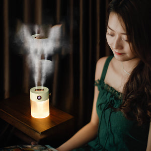 Transform Your Space with the Dual-Spray Humidifier